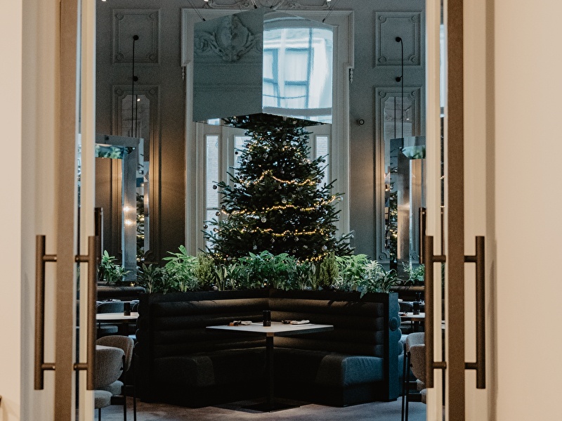 Under the Christmas tree